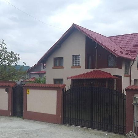 Vila De Vacanta Curtea de Argeş Exteriér fotografie