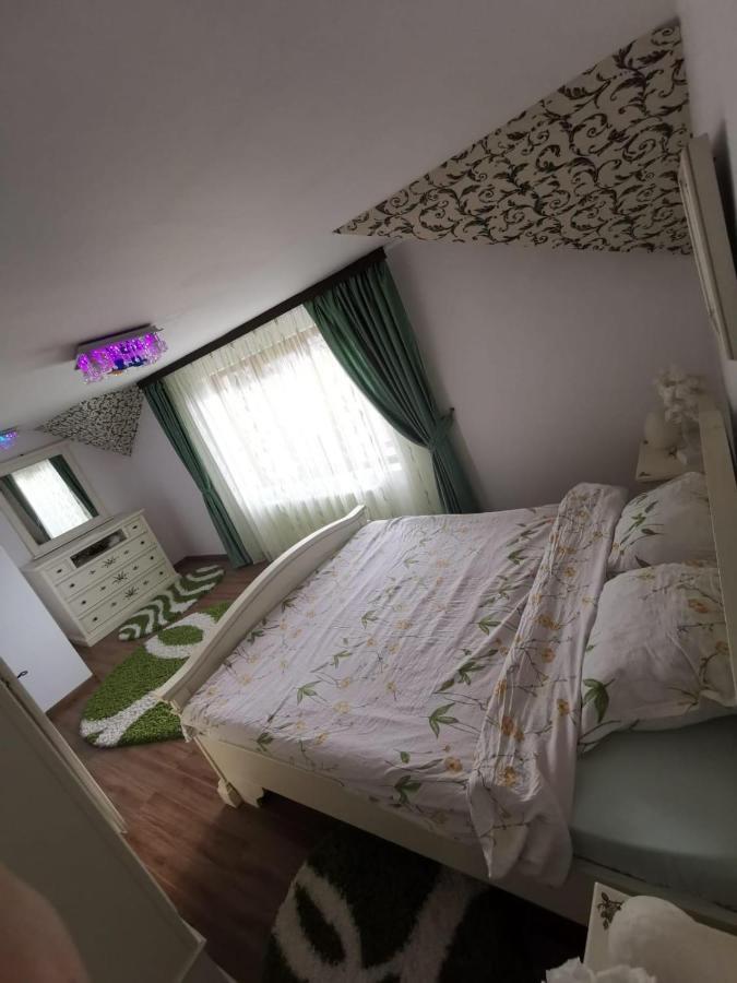 Vila De Vacanta Curtea de Argeş Exteriér fotografie