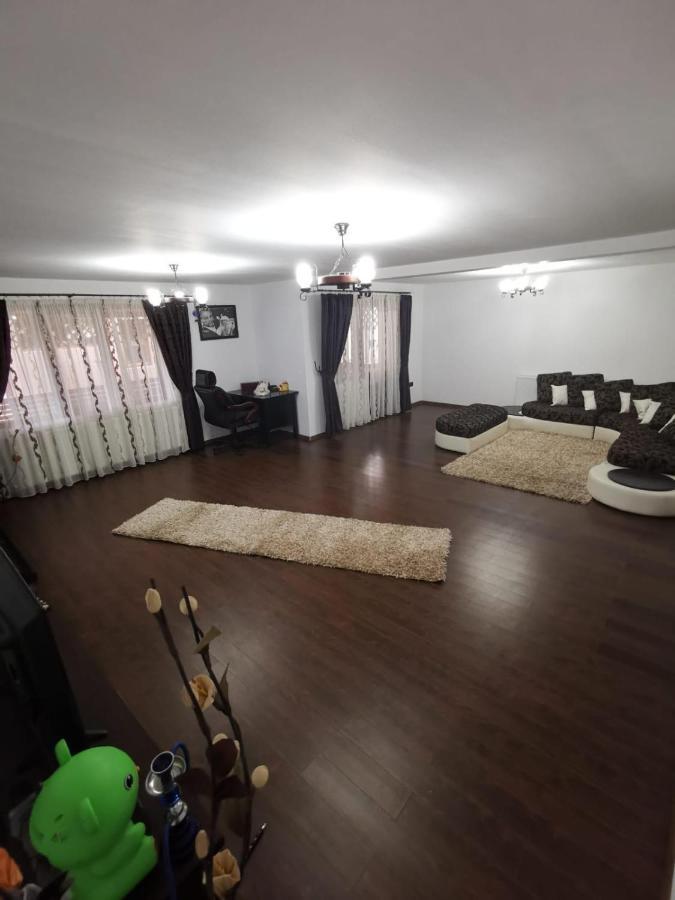 Vila De Vacanta Curtea de Argeş Exteriér fotografie