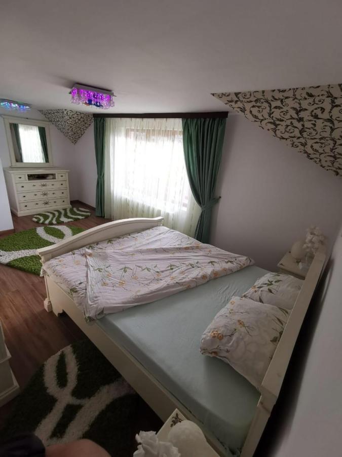 Vila De Vacanta Curtea de Argeş Exteriér fotografie