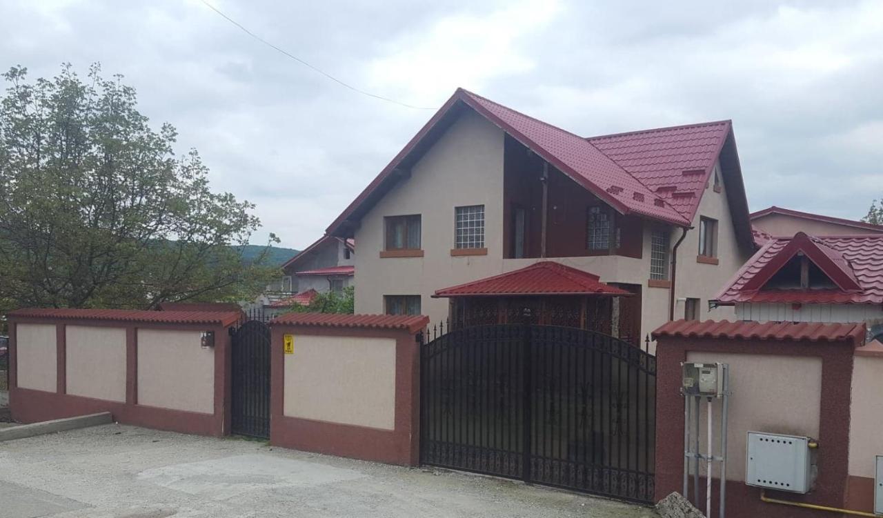 Vila De Vacanta Curtea de Argeş Exteriér fotografie